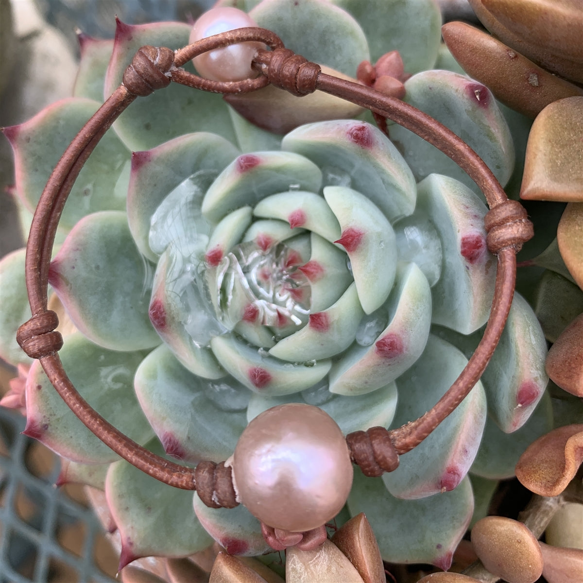 Wendy Mignot Rosie A+ Pearl and Leather Bracelet- Blush Limited Edition